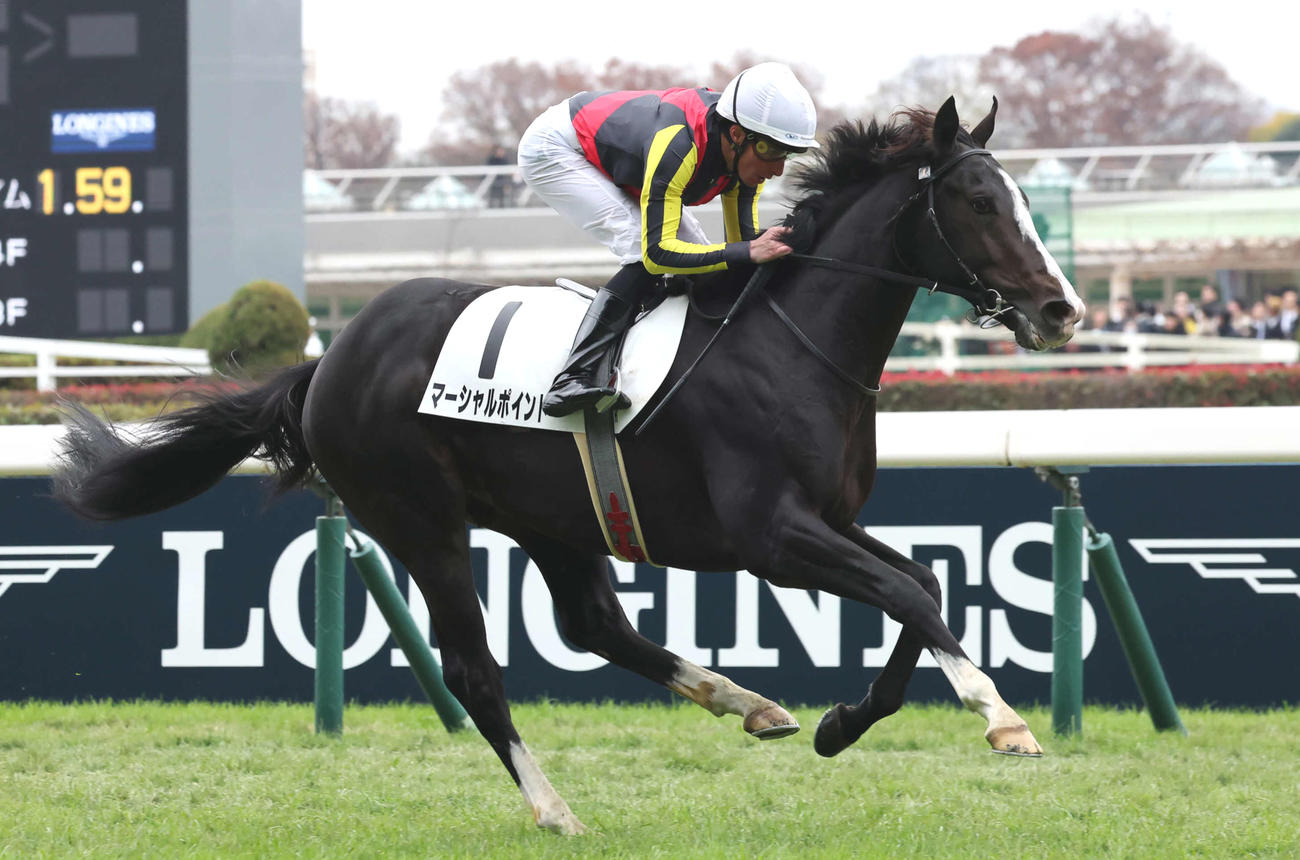 23年11月26日、東京4Rの2歳未勝利戦を制したマーシャルポイント