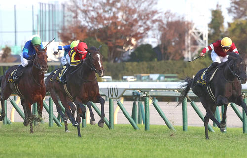23年キャピタルS2着のプレサージュリフト(右から2頭目)。右は勝ったドーブネ