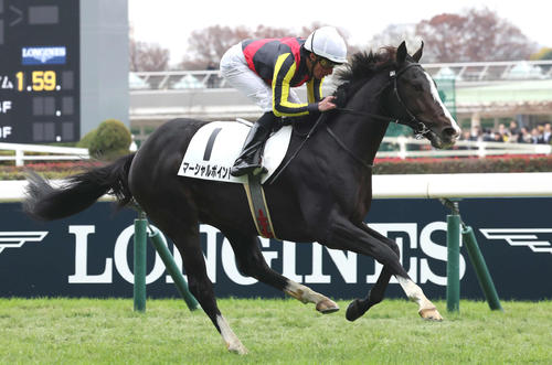 23年11月26日、東京4Rの2歳未勝利戦を制したマーシャルポイント