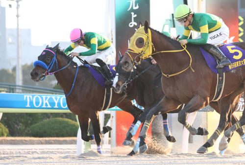 23年12月、東京大賞典2着に敗れたウィルソンテソーロ(左)。手前は勝ったウシュバテソーロ