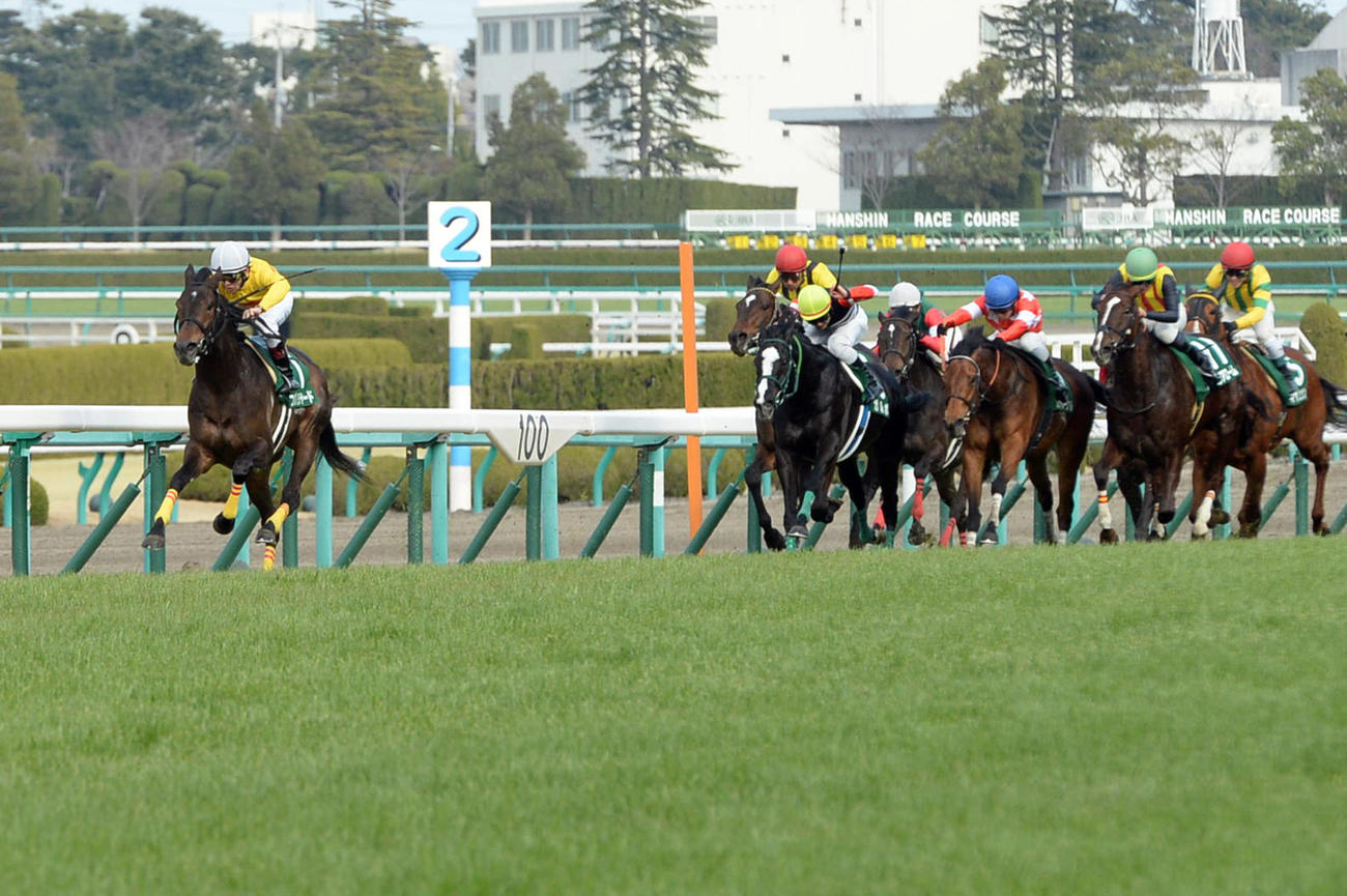 阪急杯を制したコパノリチャード（2014年3月2日撮影）