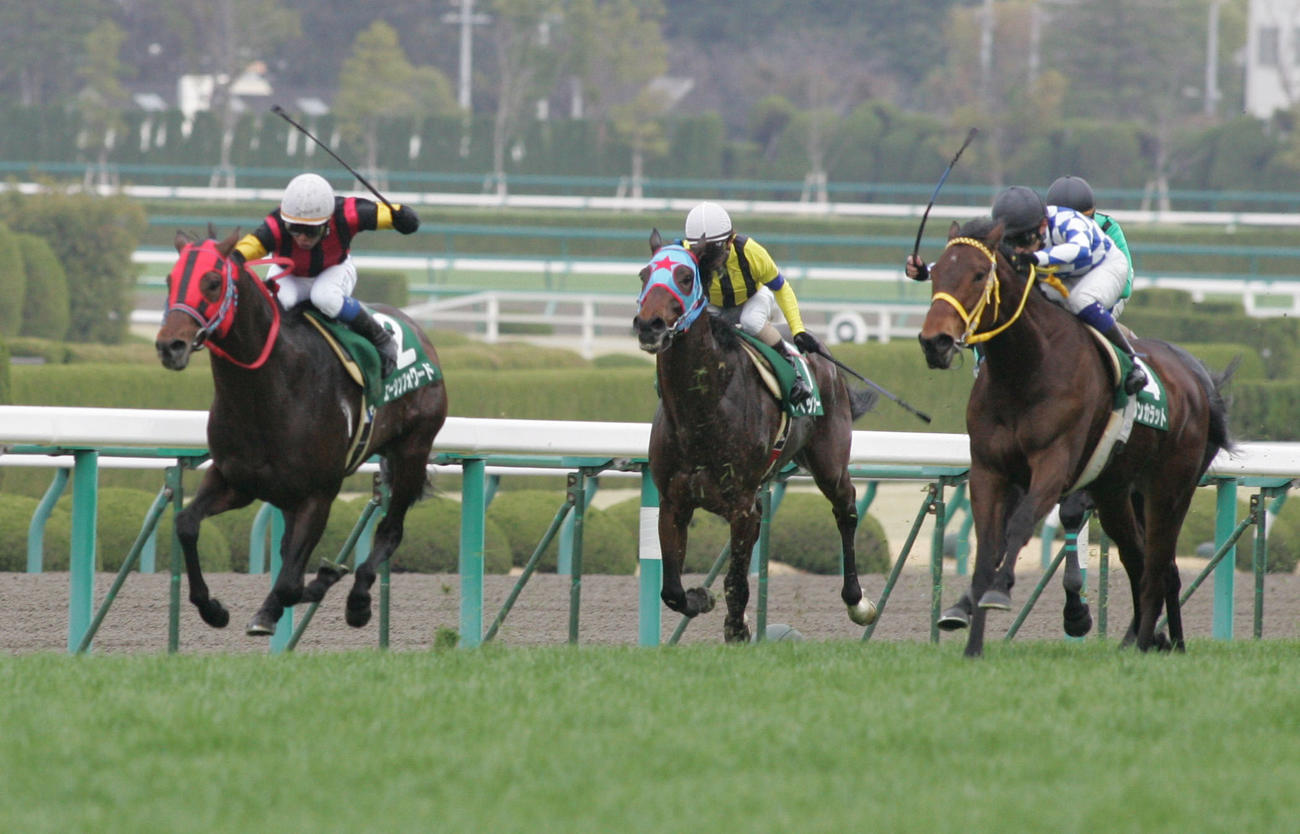 阪急杯を制したエーシンフォワード（2010年2月28日撮影）