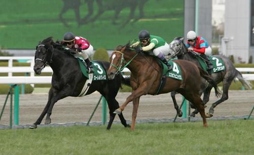 阪急杯を制したローレルゲレイロ(2008年3月2日撮影)
