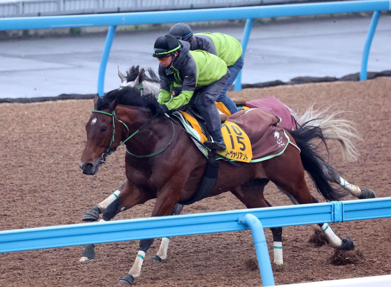ソーヴァリアント（手前）は美浦ウッドでナイトインロンドンと併せて追い切られた（撮影・丹羽敏通）