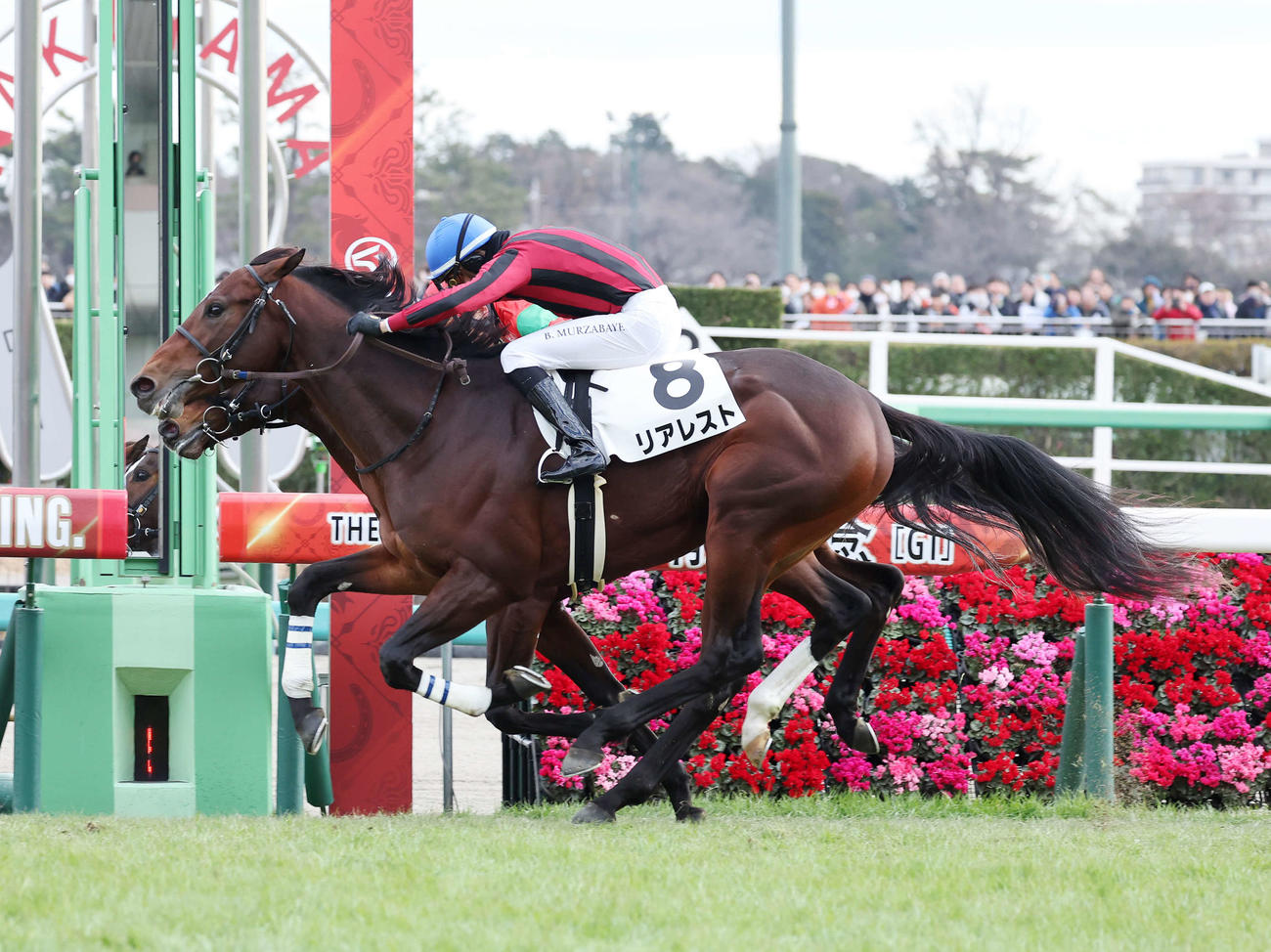 23年12月24日、中山4Rの2歳未勝利を制したリアレスト