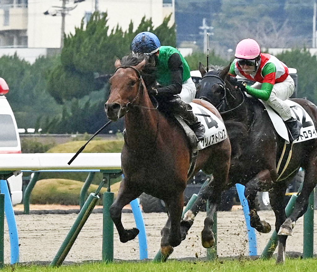 2月3日、小倉2Rの3歳未勝利で2着のクリノアドバンス