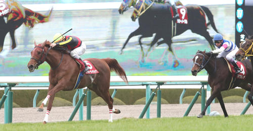 18年チューリップ賞を制したラッキーライラック