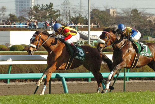 09年中山牝馬Sを制した横山典弘騎乗のキストゥヘヴン(左)