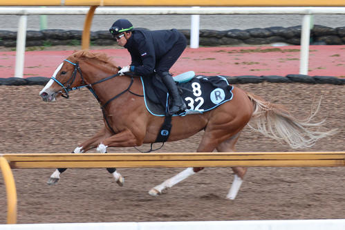 馬ナリで抜群の動きをみせたバウンシーステップ