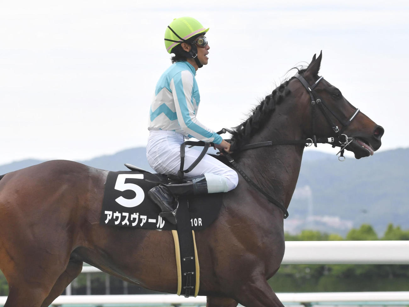 23年6月、岸和田S2着のアウスヴァール