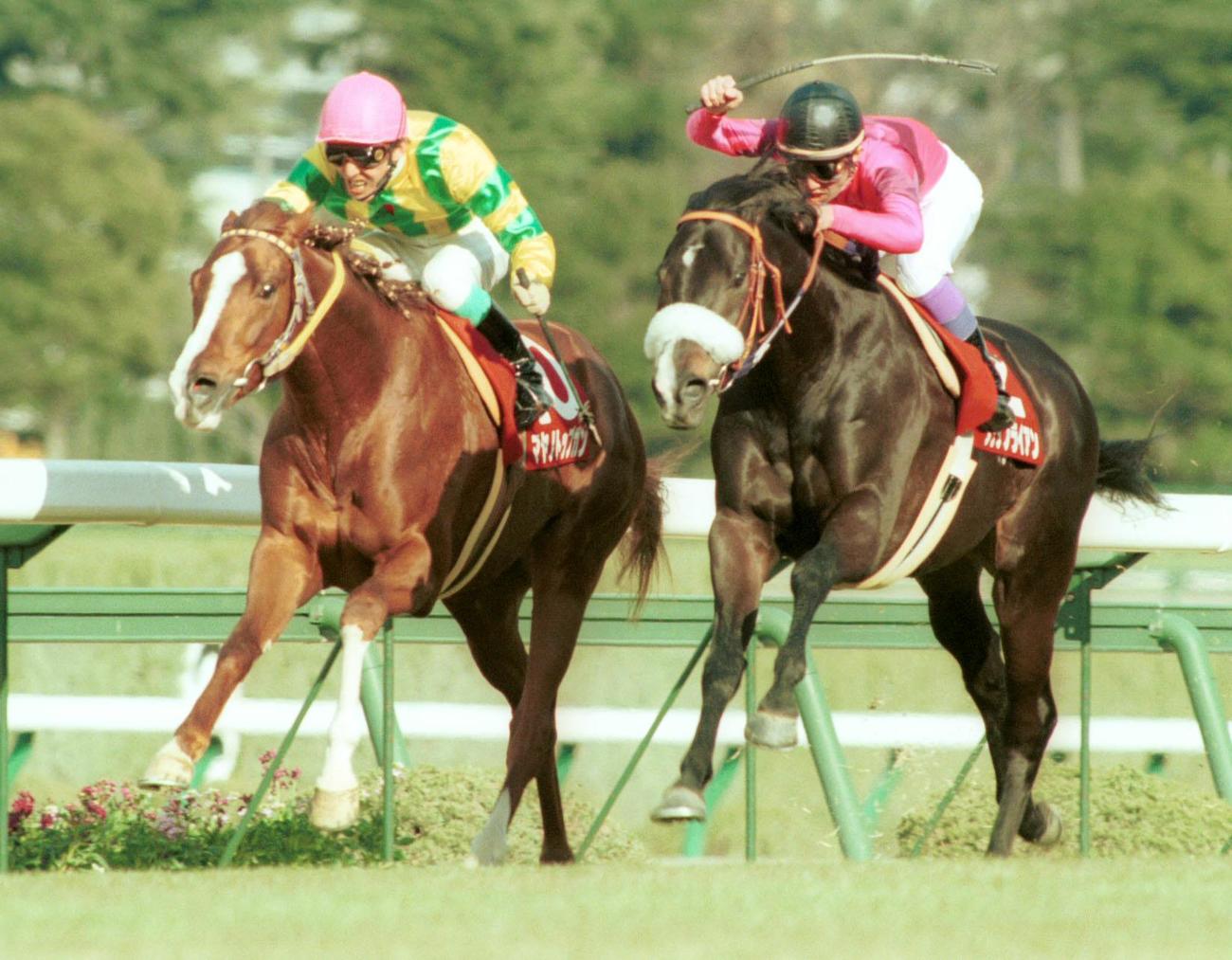 阪神大賞典を制したナリタブライアン（右）、2着マヤノトップガン（1996年3月9日撮影）