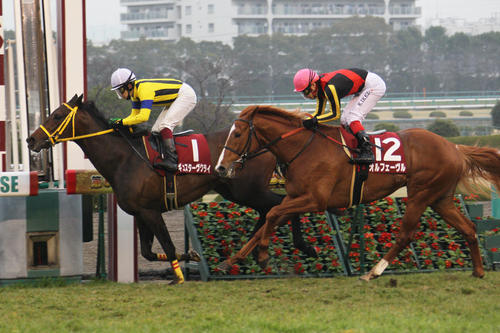 阪神大賞典を制したギュスターヴクライ、2着オルフェーヴル(2012年3月18日撮影)
