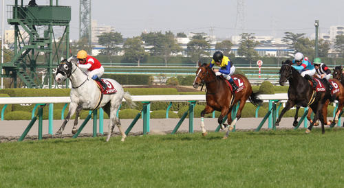 阪神大賞典 デニムアンドルビーを突き放しゴールに向かうゴールドシップ(2015年3月22日撮影)