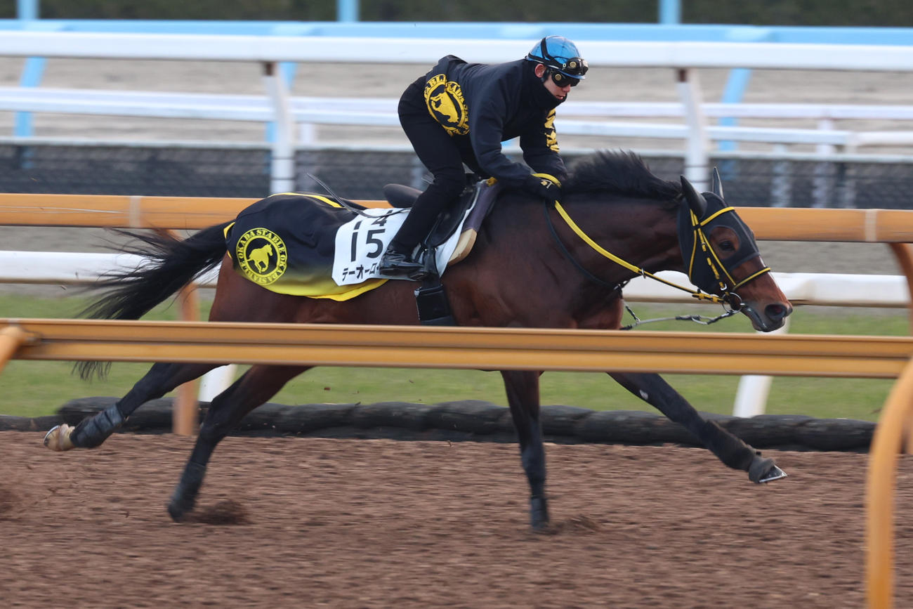 CWコースを駆け抜けるテーオーロイヤル