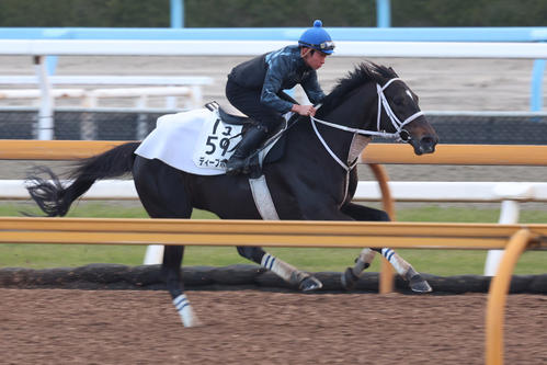 CWコースで素軽い動きを見せたディープボンド