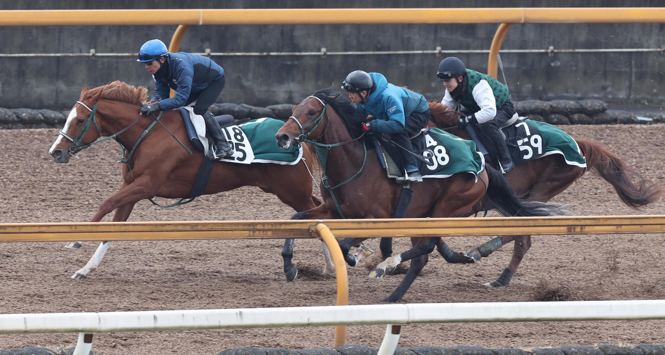 Cウッドコースにて3頭併せで追い切るプリュムドール（左）