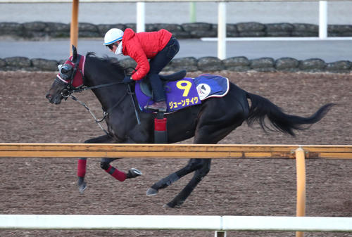 ジューンテイク（2023年12月13日撮影）