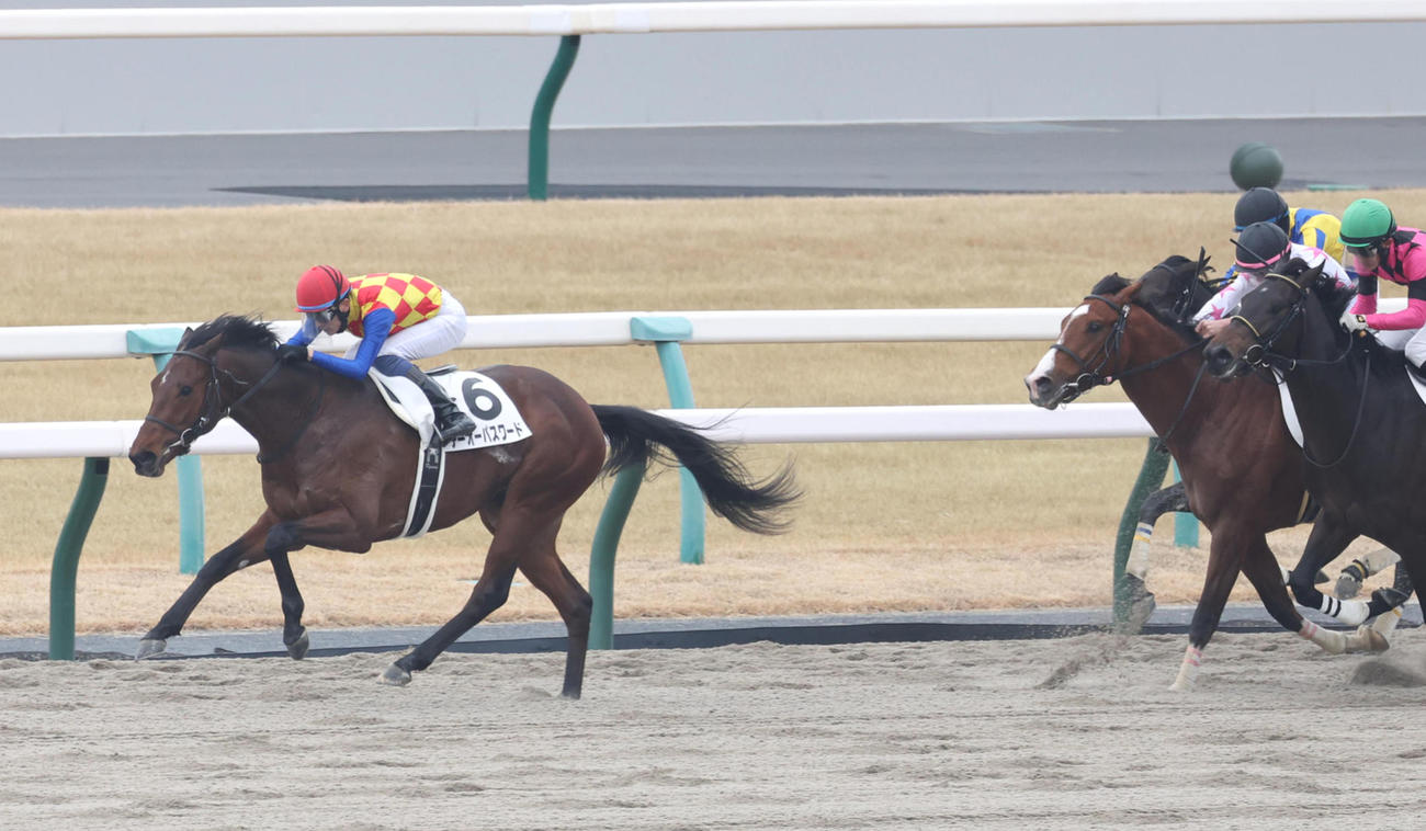 1月6日、新馬戦を完勝したテーオーパスワード