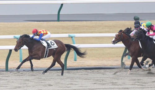 1月6日、新馬戦を完勝したテーオーパスワード