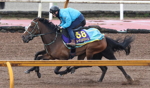 Cウッドコースを併せ馬で追い切るルージュエヴァイユ