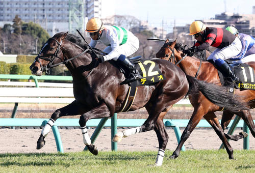 10日、東風Sを制したディオ