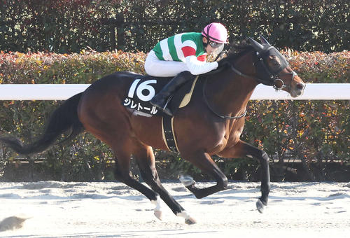 ジレトール(2023年撮影)