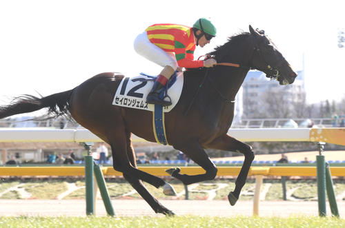 2月3日、新馬戦を制したセイロンジェムズ