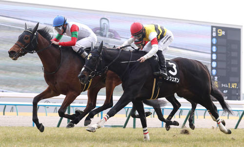 2月11日、春日特別2着に敗れたプッシュオン(右)。左は勝ったココナッツブラウン