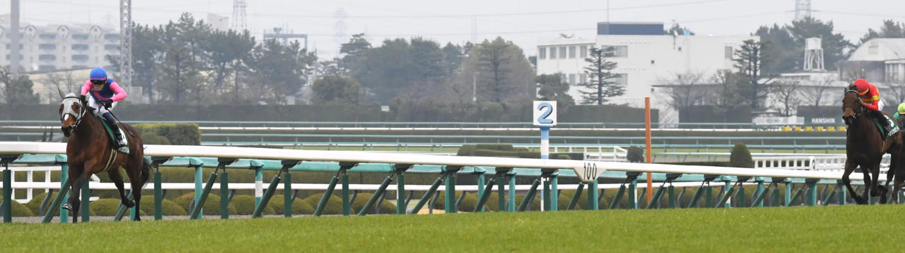 3月23日、毎日杯を制したメイショウタバル