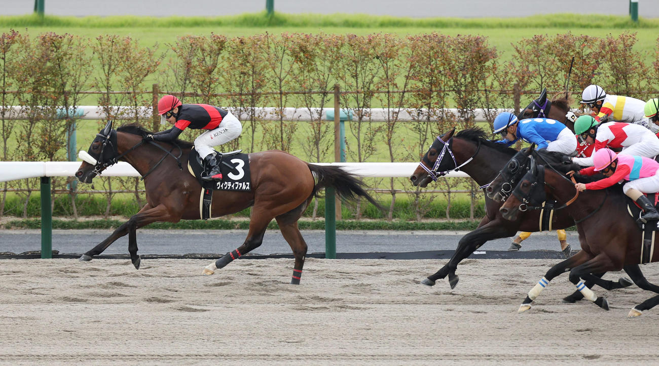 23年、太秦Sを制したヴィクティファルス