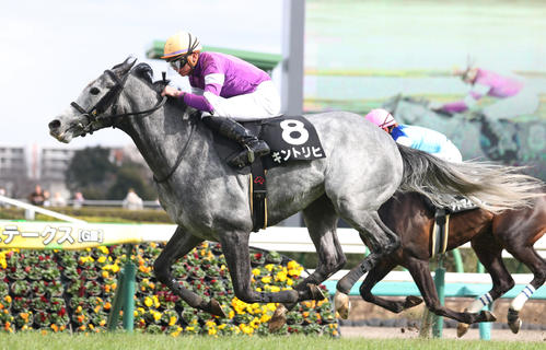 3月2日、潮来特別を制したキントリヒ