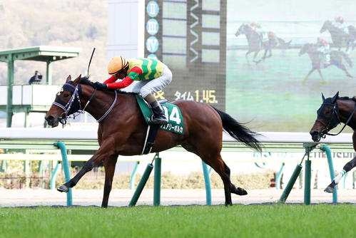 20年、福島牝馬Sを制したフェアリーポルカと和田騎手