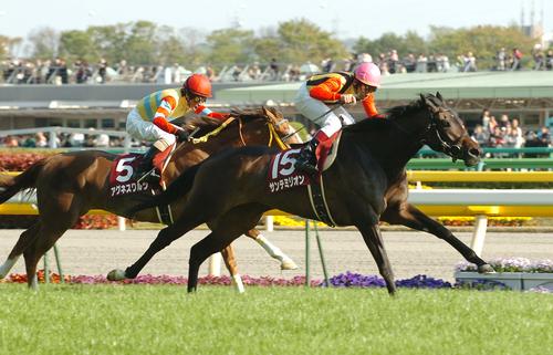 10年のフローラSを勝ったサンテミリオン(手前)