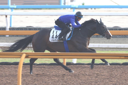 併せ馬で大きく先着するソウルラッシュ