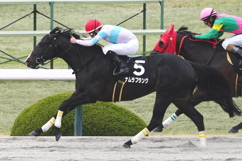 3月31日、陽春Sを制したナムラフランク
