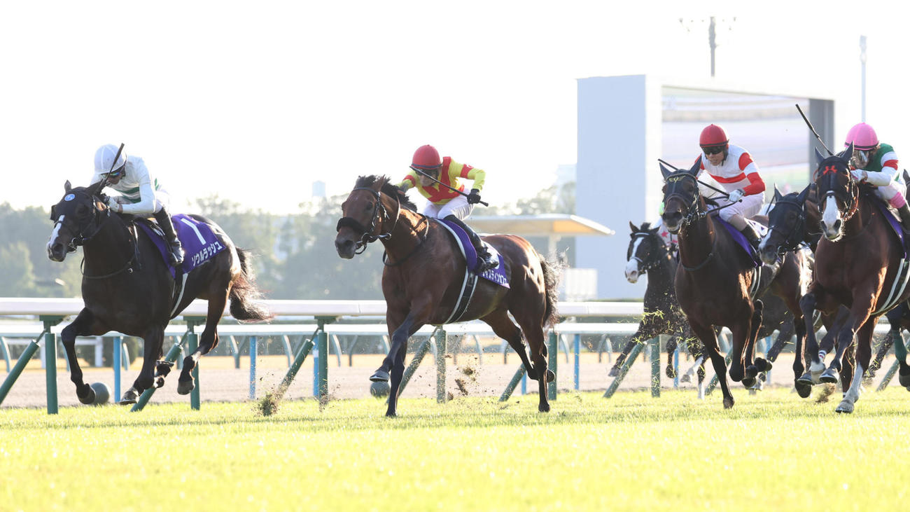 23年マイルCSで2着のソウルラッシュ（左）。右は勝ったナミュール