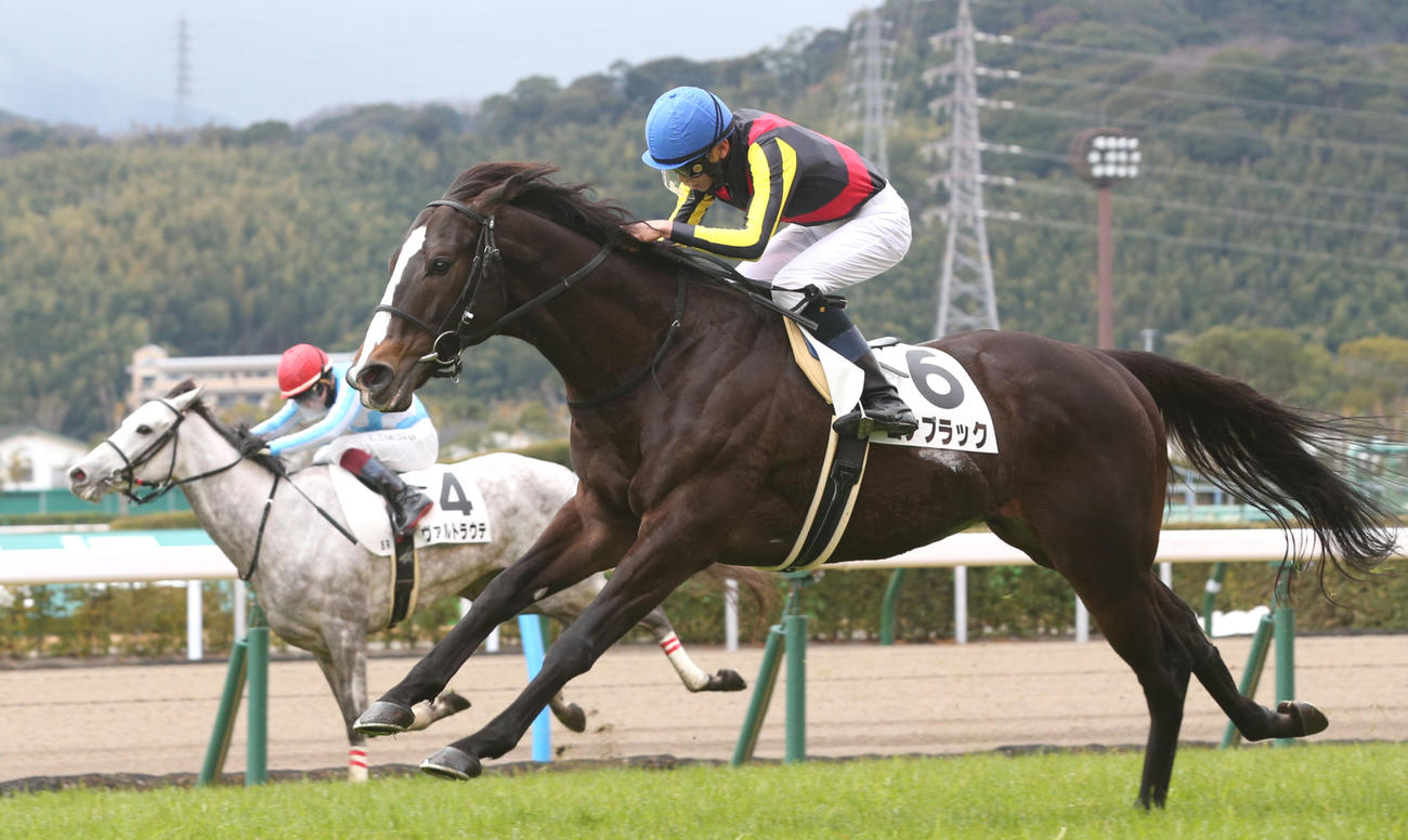 1月28日、小倉8Rの4歳上1勝クラスを制したコナブラック