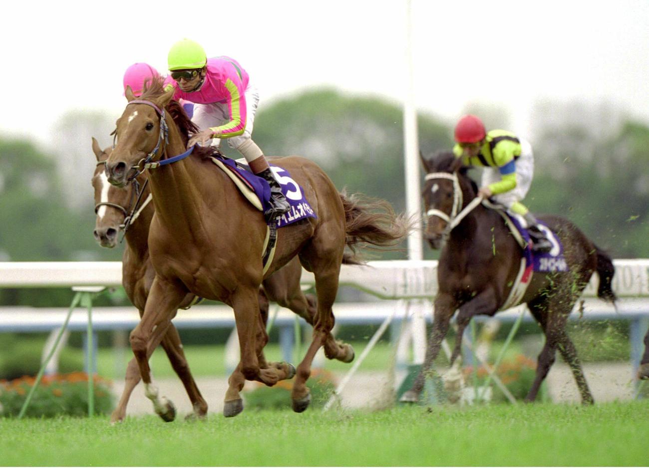 天皇賞・春を制したテイエムオペラオー（2000年4月30日撮影）