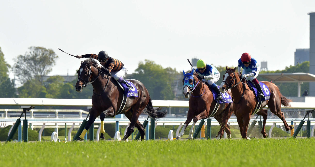 天皇賞・春を制したキタサンブラック（2017年4月30日撮影）