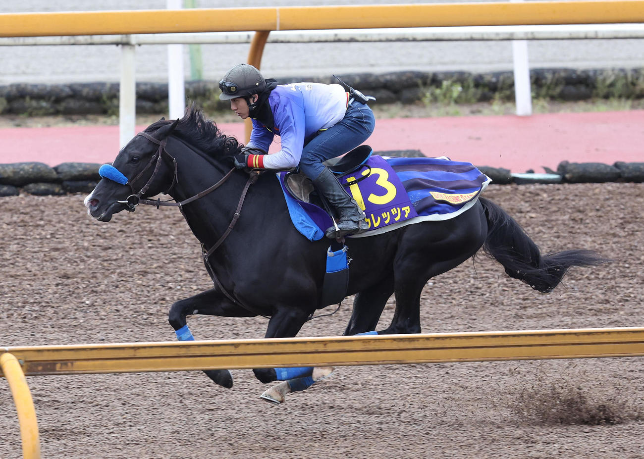Cウッドを単走で追い切るドゥレッツァ（撮影・白石智彦）