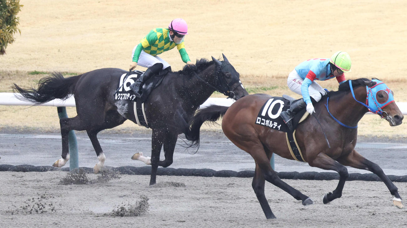3月23日伊勢S2着のルクスフロンティア（左）。右は勝ったロコポルティ