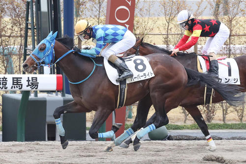 2月18日、京都6Rの3歳1勝クラスを制したハーバーライト