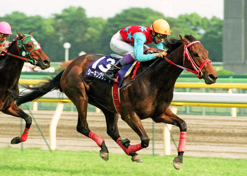 97年NHKマイルCを制したシーキングザパール