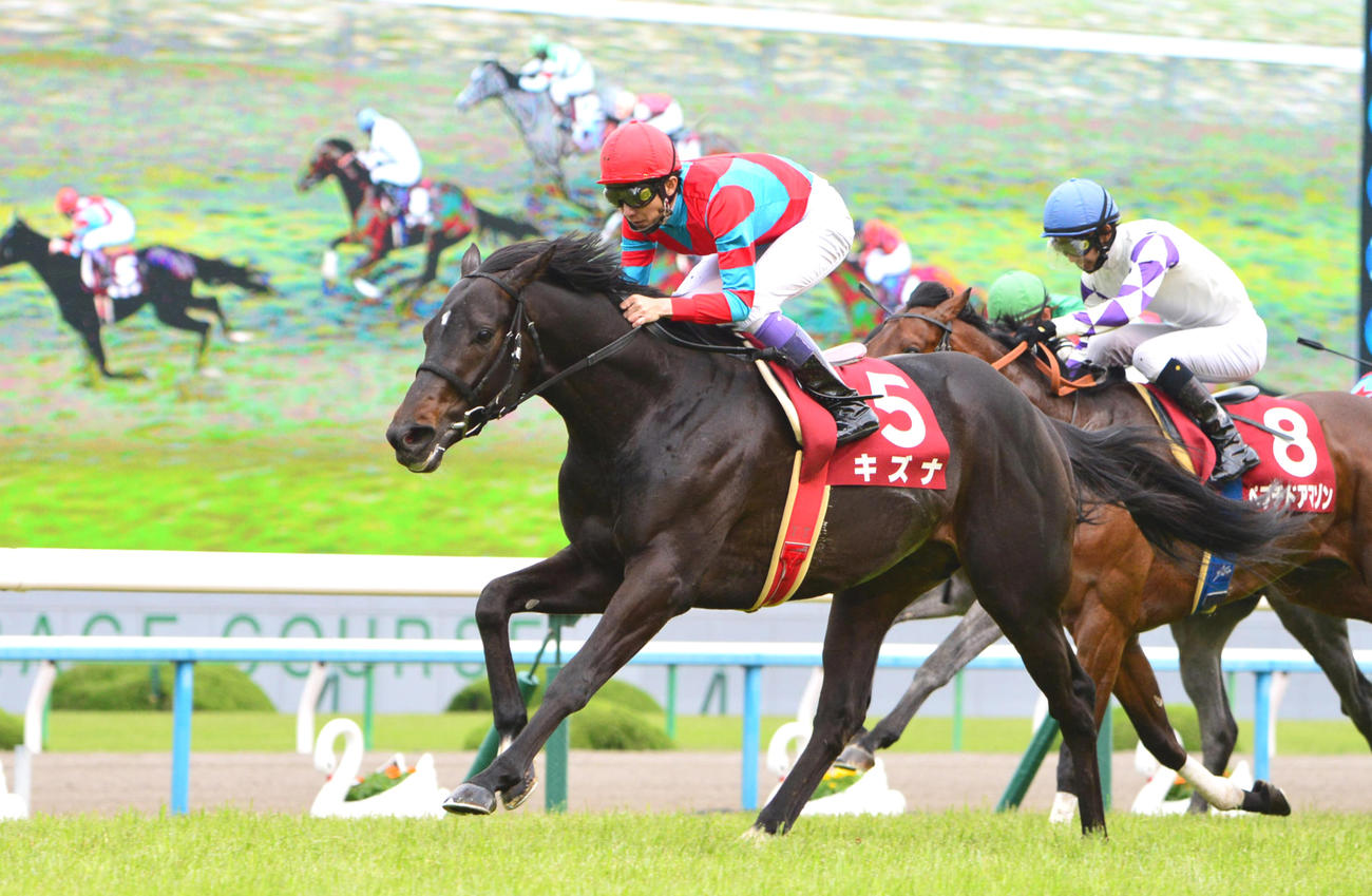 13年京都新聞杯を制したキズナと武豊騎手