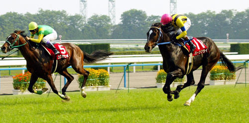 04年京都新聞杯を制したハーツクライ（右）。左は2着スズカマンボ