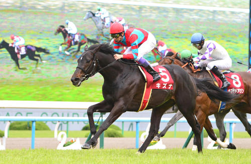 13年京都新聞杯を制したキズナと武豊騎手