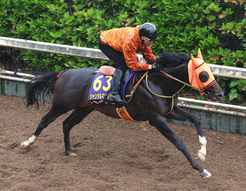 坂路を単走で追い切るジャンタルマンタル(撮影・白石智彦)