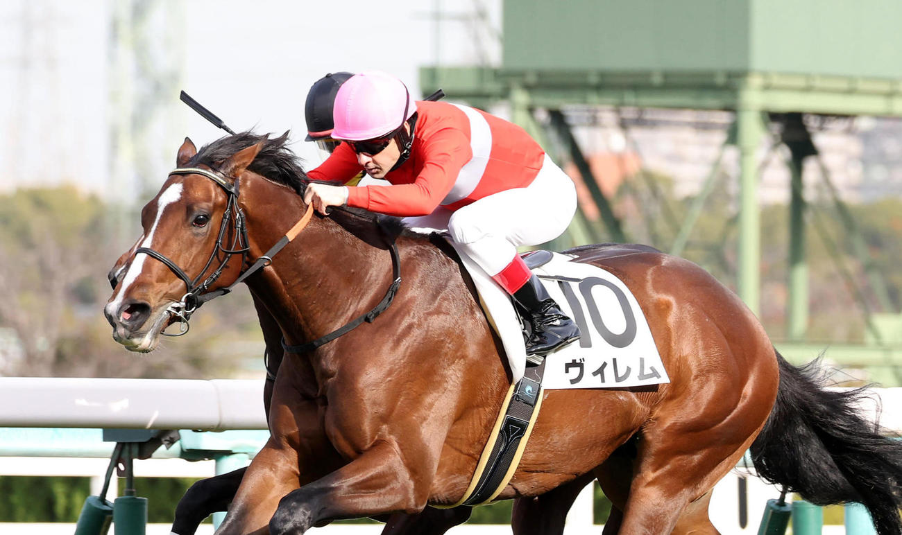 23年12月9日、阪神7Rの2歳未勝利を勝ち上がったヴィレム