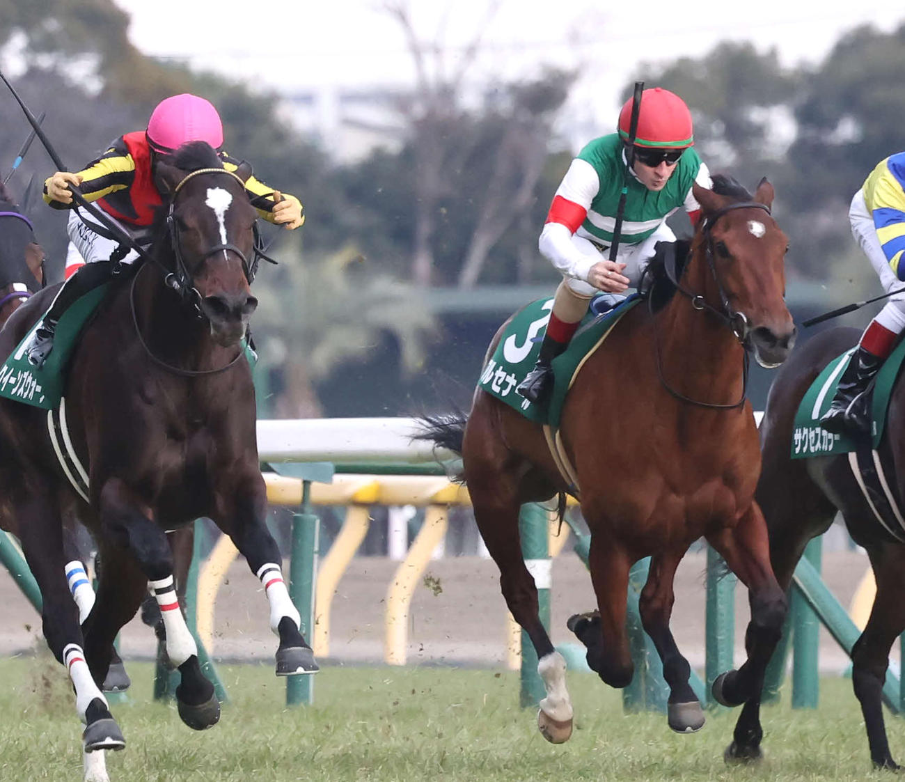 2月10日、クイーンC2着に敗れたアルセナール（右）