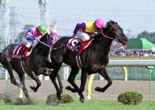 91年京王杯SCを制したダイイチルビー